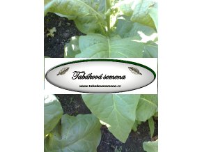 Tabák Silk Leaf - 100 semen