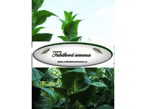 Tabák Bamboo Shot - 100 semen