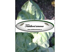 Tabák Ancient - 100 semen