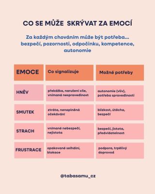 💭 Pokračujeme v našem mini seriálu o emocích. Emoce nás často zaskočí. Právě proto je to na nás, na dospělých, abychom...