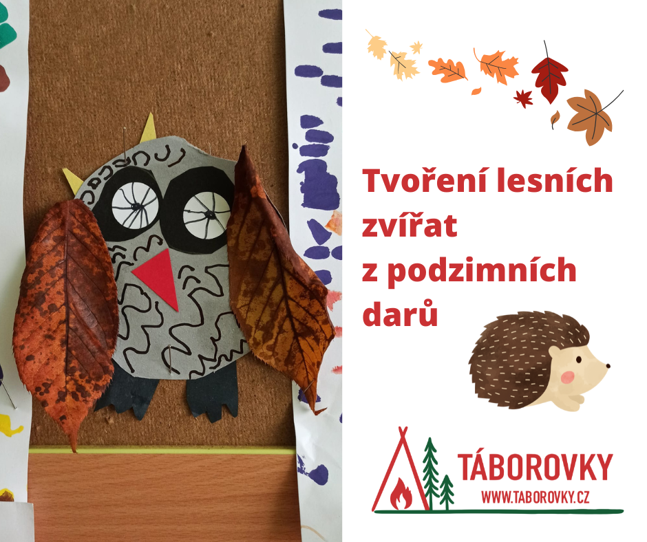 Tvoření lesních zvířat z podzimních darů