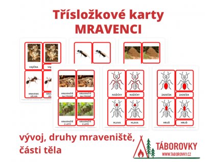 3 slozkove karty pro deti mravenci taborovky