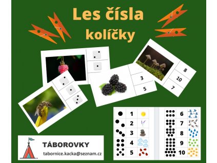 Bingo příroda (7)