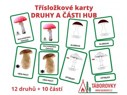 třísložkové karty houby