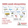 sada sazek ekosystemy v lese na louce na poli taborovky
