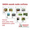 sada 5 stezek pro deti savci ptaci hmyz obojzivelnici plazy ryby taborovky