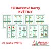 Třísložkové karty - Květiny a stromy