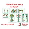 Třísložkové karty - Květiny a stromy