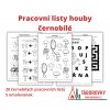 Pracovní listy houby