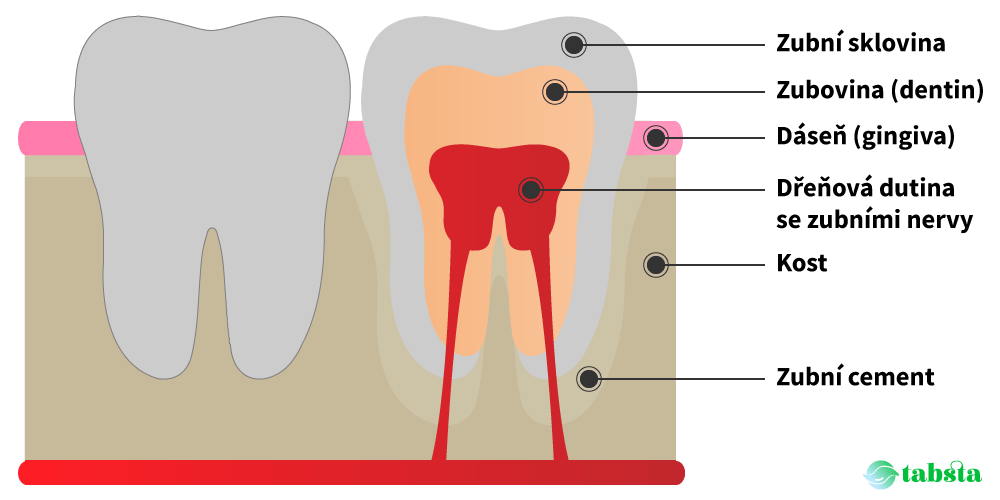 Co dělat když bolí mrtvý zub?