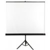 Projekční plátno Avtek Tripod Standard