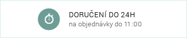 Doruceni do 11 h