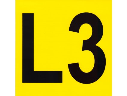L3 V