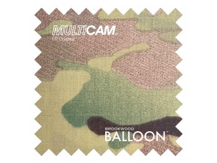 BalloonMulticamFR