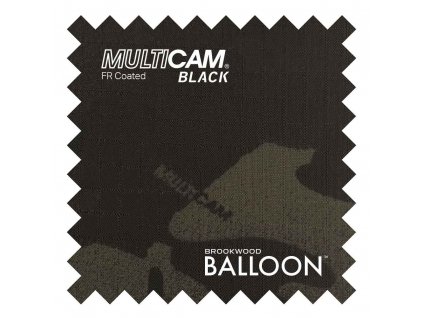 BalloonMulticamBlackFR