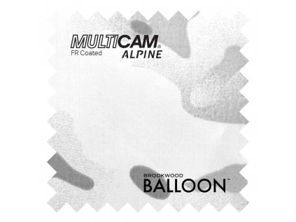 BalloonMulticamAlpineFR