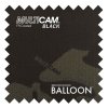 BalloonMulticamBlackFR