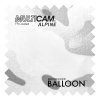 BalloonMulticamAlpineFR