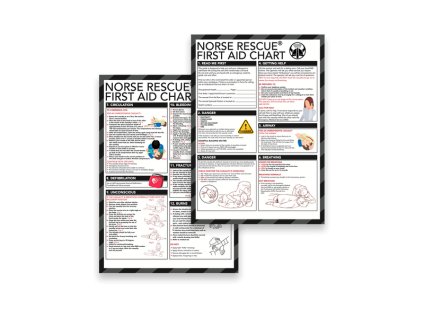 first aid chart 671246 600x