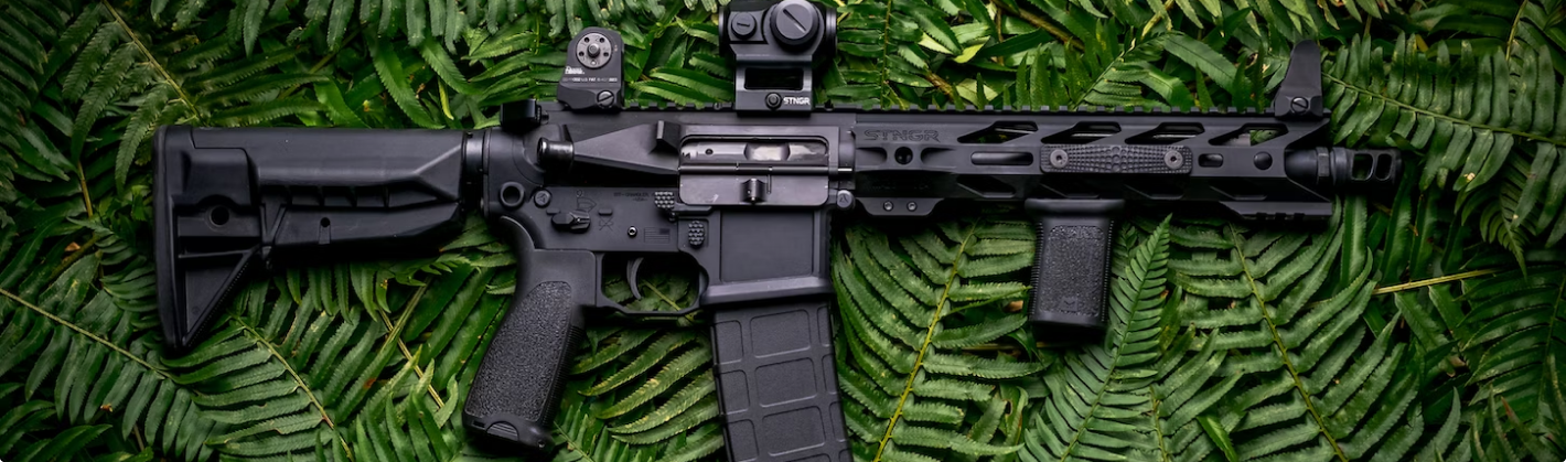 Co změnila novela zákona o zbraních a jak se dotkla jejich dosavadních držitelů?