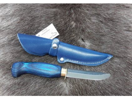 23PP ENSI vari 571