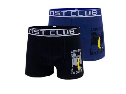 Boxe mst E6011h