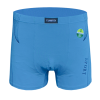 bbp4