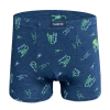 bbp6