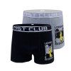 Boxe mst E6015h
