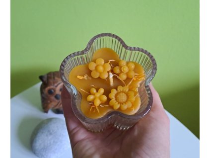 Svíčka kytička - různé druhy