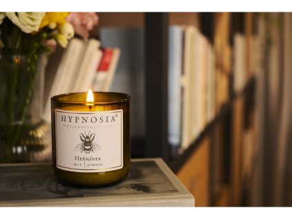 81 1 hermanek hypnosia 3