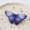 MOTYL MODRY