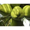 mydlo monoi kokos (3)