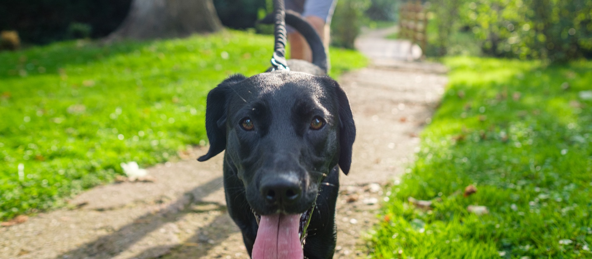 To máš tím, s kým Ty se TAHÁŠ!