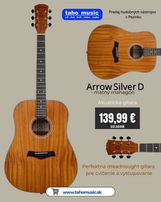 Arrow Silver D akustická gitara