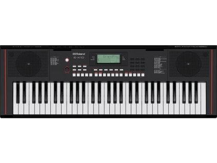 Roland E X10 01