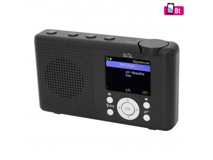 SAL INR 3000BK Internetové rádio 01