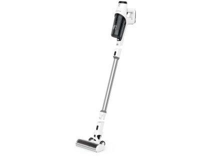 ROWENTA RH6935WO 1