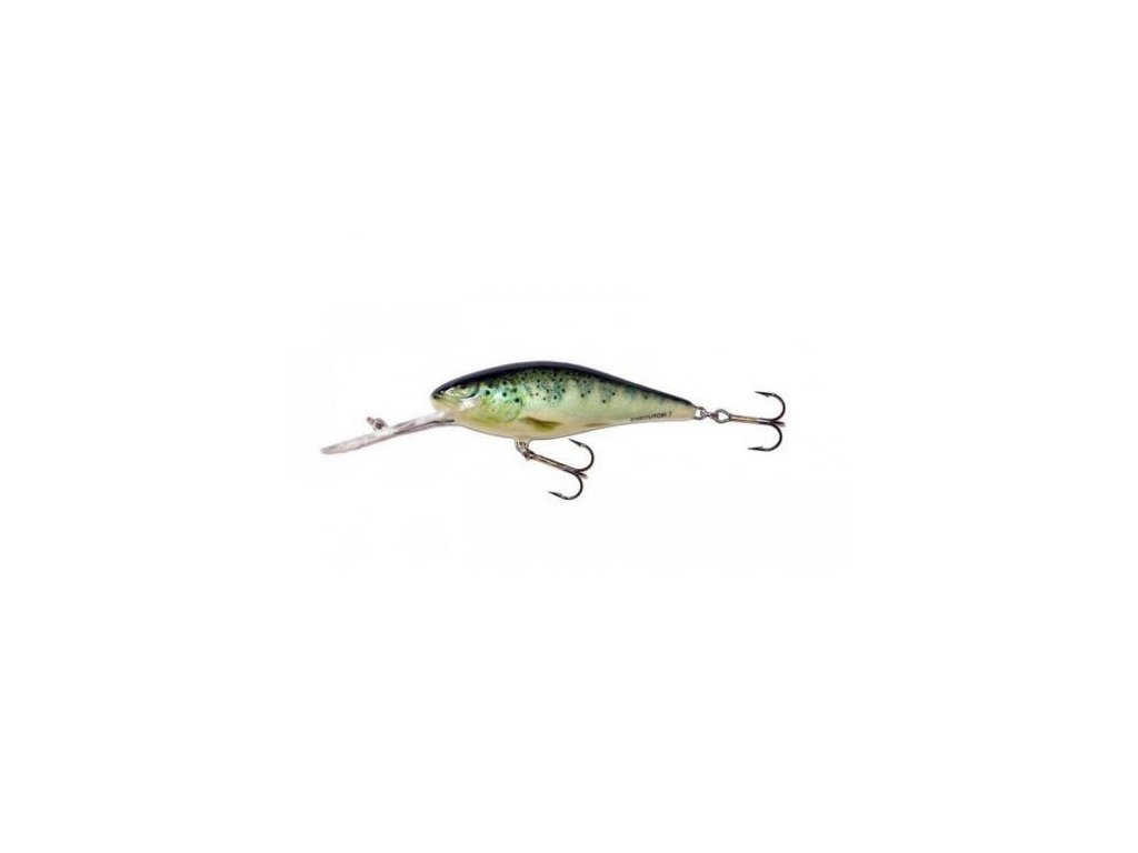 Wobler Salmo EXECUTOR-RTR (Velikost EX5SDR 5cm)