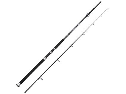 10883 spro salty beast 210cm 400g