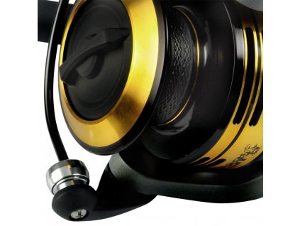 Black Cat Passion 6100