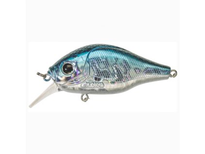 Dogora 6,5cm F Blue Alive