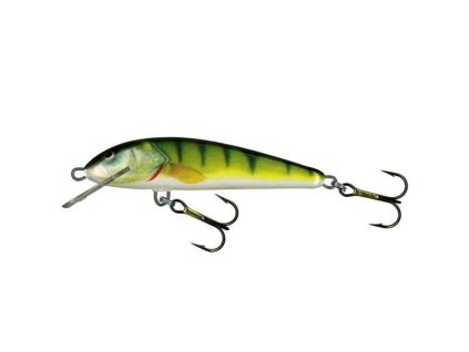 Salmo Minnow PH
