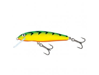 Wobler Salmo MINNOW-GT