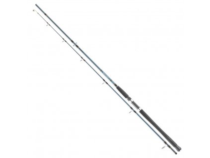 Daiwa Saltist Pilk 2,4m 200g