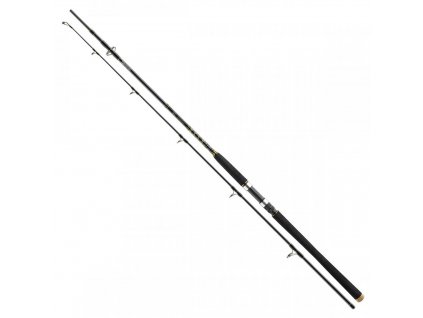 Daiwa BG 2,1m 150-400g