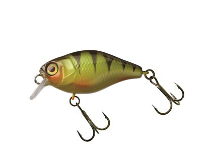 25481 illex chubby 3 8cm perch