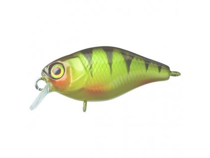 Illex Chubby 3,8cm Perch