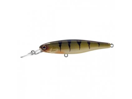 Squirrel 61 Perch