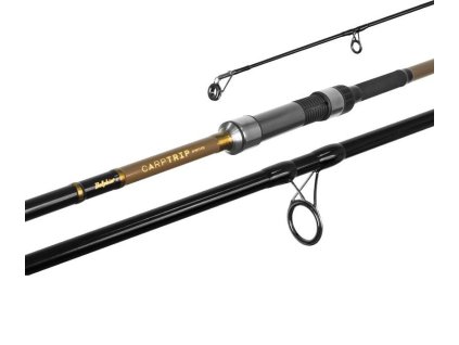 2618 delphin carp trip 3m 3lb
